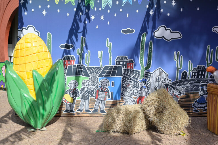 Festa Junina Asa Sul 5